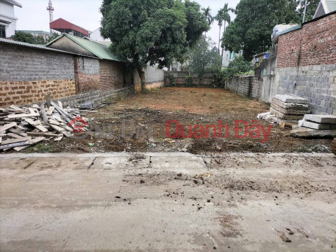 Owner sells land plot near fish market, central fish market area, Nam Phuong Tien Commune, Chuong My, Hanoi Total _0