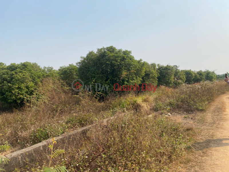 BEAUTIFUL LAND FOR SALE IN KIEN LAO, CHU TX, BAC GIANG - HIGH PROFITABLE INVESTMENT OPPORTUNITY, Vietnam, Sales đ 1.9 Billion