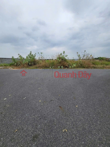 OWNER'S LAND - GOOD PRICE - Near Cafe 5 Hiep, National Highway 50, Tan Lan Commune, Can Duoc, Long An Sales Listings