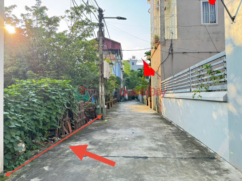 Land for sale in Group 8, Quang Minh - 54m2 - car access to the house - close to Vo Van Kiet highway and Big C Me Linh supermarket. Sales Listings