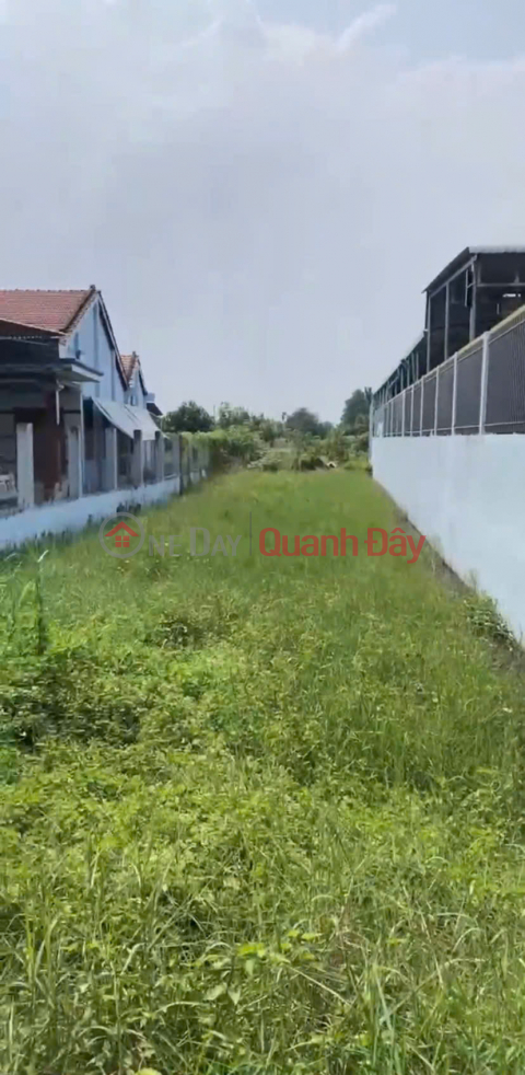 Chính Chủ Bán 1000m2 Đất Tại Ấp 5, Tân Hòa, Huyện Bến Lức, Long An _0