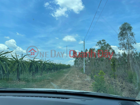 OWNER NEEDS TO SELL LAND LOT - CHEAP PRICE In Ham Thuan Nam, Binh Thuan _0