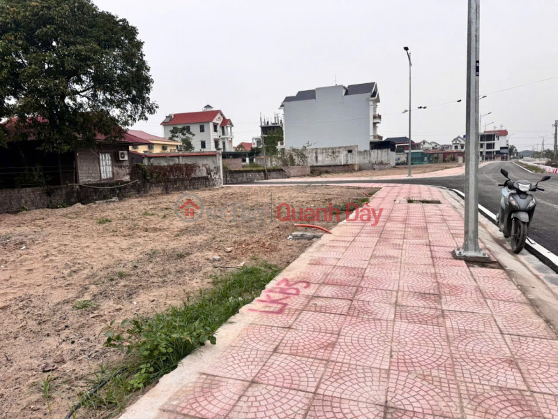 CHÍNH CHỦ BÁN NHANH 2 LÔ ĐẤT ĐẤU GIÁ LIỀN KỀ– NGAY CẠNH VINMEC OCEAN PARK 2 – Nghĩa Trụ, Văn Giang Việt Nam, Bán, đ 14 tỷ