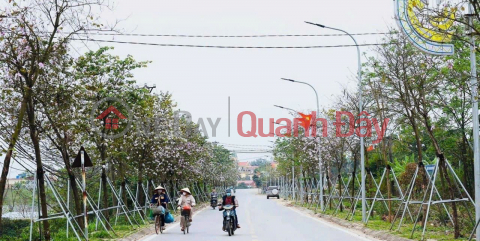 Land for sale in Yen My commune, Thanh Tri, Hanoi. Yen My Hot Ecotourism Village _0