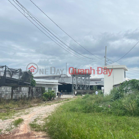 Quick sale of land by owner in Dau Tieng Binh Duong 300 m2 for only 290 million _0