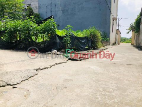 Land for sale 43.3m2 Dai Bi Uy No Dong Anh near Kim Quy park _0