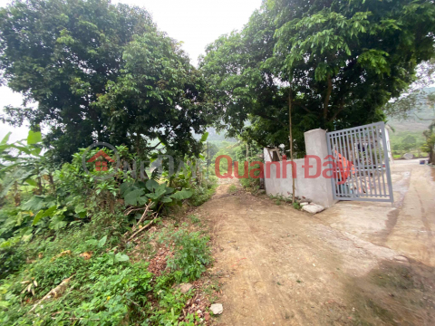 Land for sale in Bot Village - Phu Thanh - Lac Thuy - Hoa Binh Area: 2904m MT: 55m 3.6 billion. _0