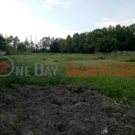 LAND LOT IN GOOD LOCATION - GOOD PRICE, NEED TO SELL QUICKLY 4 adjacent plots of land in Cu Chi district, HCMC _0
