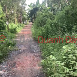 BEAUTIFUL LAND - GOOD PRICE - FOR URGENT SALE Land Plot In Binh Chanh District, HCM _0