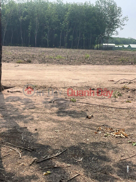 Owner Needs to Sell Land Lot, Beautiful Location in Minh Lap Commune, Chon Thanh, Binh Phuoc, Vietnam | Sales | đ 490 Million