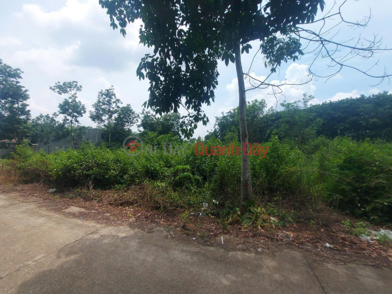 Property Search Vietnam | OneDay | Residential Sales Listings BEAUTIFUL LAND - GOOD PRICE - OWNER NEEDS TO SELL Land Lot in Lai Uyen Town, Bau Bang, Binh Duong