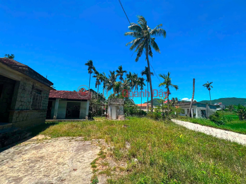 HOT HOT – LAND FOR SALE BY OWNER, PRIME LOCATION – GREAT PRICE in My Chanh Commune, Phu My District, Binh Dinh Province Vietnam, Sales | đ 900 Million