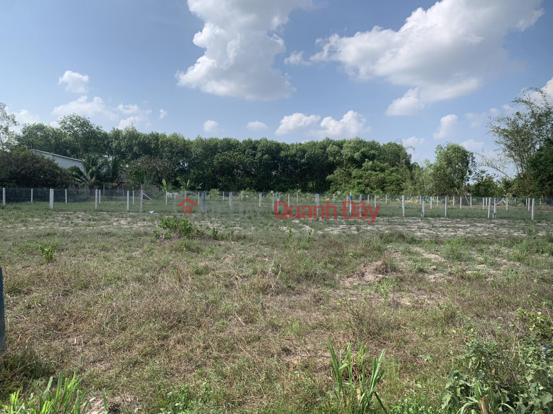 The owner sold at a loss of capital 3 lots 5x26m (Full land) and 1 lot 10x26m (Full land) 2km from Hiep Thanh Industrial Park Sieu Loi | Vietnam Sales | đ 800 Million