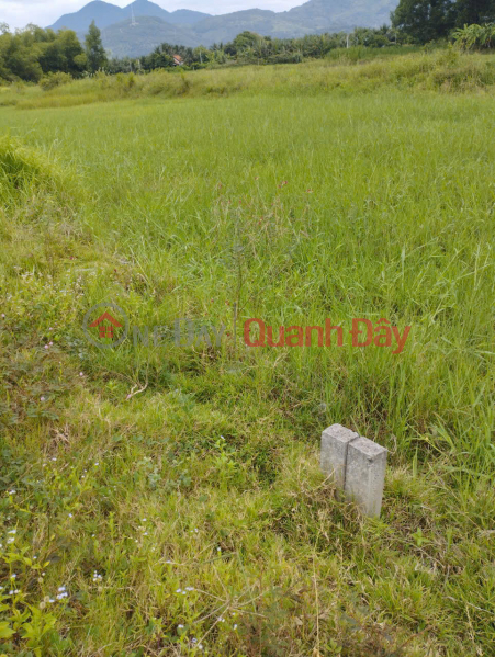 BÁN LÔ ĐẤT ĐẸP GIÁ TỐT TẠI THÔN PHƯỚC TUY, XÃ DIÊN PHƯỚC, DIÊN KHÁNH | Việt Nam, Bán đ 490 triệu