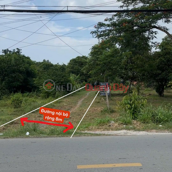 đ 150 Billion PRIME LAND – GOOD PRICE – OWNER WANTS TO RENT OR SELL A LARGE PLOT OF 18,000m2 (1.8ha) IN BINH MY COMMUNE, HO CHI MINH CITY