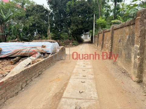 Land for sale in Kim Hoa, Me Linh, Hanoi. Corner lot, 2 frontages. Located close to Ring Road 4. _0