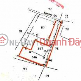 bán đất trồng cây lâu năm (HUNGKHANH-893651918)_0