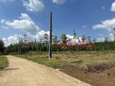 200m2 Binh Phuoc land right on DT756 road _0