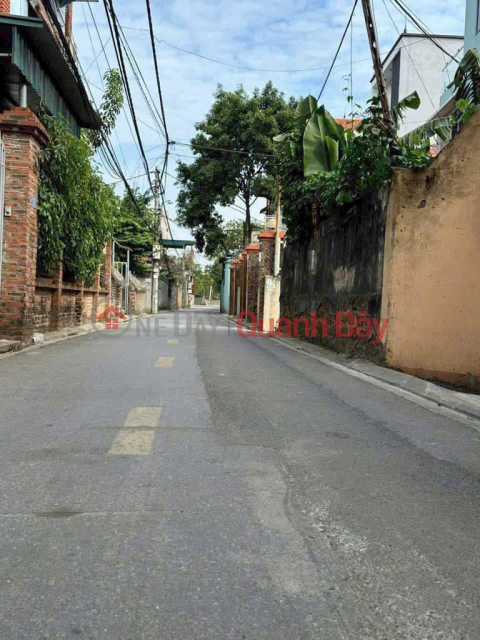 15m ra ô tô 30m ra QL3 đất Tiên Hùng - Đông Anh 88m 5,6 tỷ _0