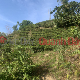 BEAUTIFUL LAND - GOOD PRICE - OWNER FOR SALE Land Beautiful Location Village 10 Loc Thanh Commune, Bao Lam, Lam Dong _0