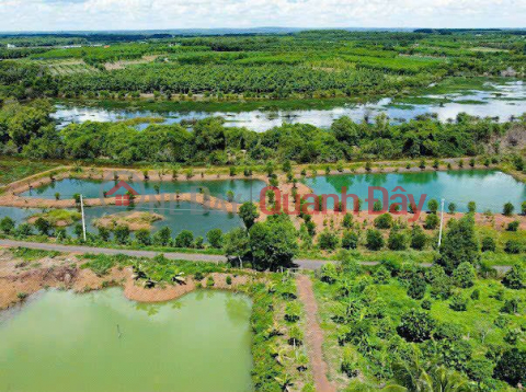 Land View of ecological lake 5x40 380 million \/ residential floor _0