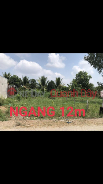 Owner - NEED TO SELL QUICKLY Land Frontage On Asphalt Road In Binh Duc Ward, Long Xuyen, An Giang | Vietnam, Sales | đ 2.2 Billion