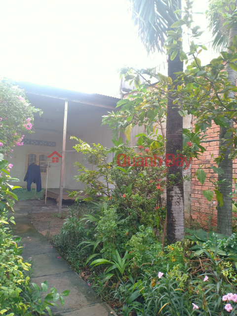 Siêu rẻ! Bán nhà 120m2, đường oto thông, gần trường Trấn Biên chỉ 3,3 tỷ _0