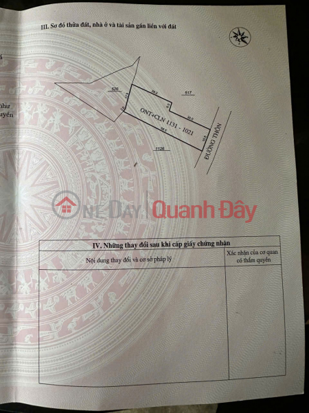 Property Search Vietnam | OneDay | Residential | Sales Listings, BEAUTIFUL LAND - GOOD PRICE - OWNER NEEDS TO SELL Land Lot In Cam Hoa Village, Cam Tu Commune, Cam Thuy, Thanh Hoa.