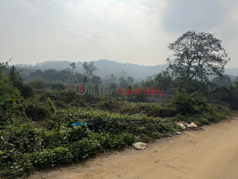 ĐẤT ĐẸP - GIÁ TỐT - Cần Bán Nhanh Đất Phân Lô Vị Trí Đắc Địa Tại Tại xã Xuân Mai, TP Hà Nội, Việt Nam Bán đ 20 tỷ