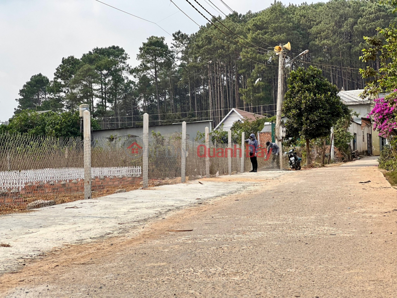 830 million to immediately own 290m2 of residential land in Da Lat City 2, Vietnam | Sales | đ 830 Million