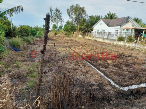 OWNER Needs to Quickly Sell a Plot of Land in Thanh Phu Hamlet, Thanh Quoi Commune, Long Ho District, Vinh Long _0