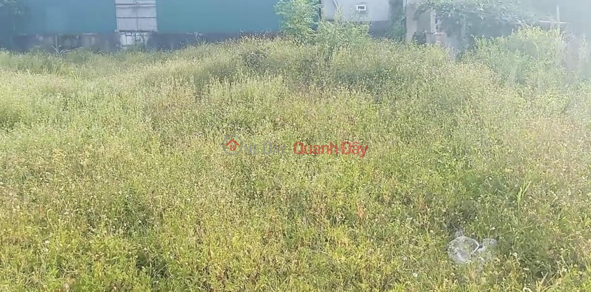 PRIME LAND - GOOD PRICE - For Quick Sale In Nghi Xuan Commune, Nghi Loc, Nghe An Sales Listings