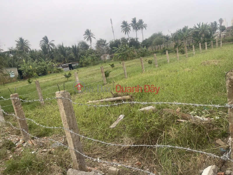 Property Search Vietnam | OneDay | Residential, Sales Listings, BEAUTIFUL LAND - CHEAP PRICE - Owner Needs to Sell Land Lot with Beautiful Location at My Binh Ward, Phan Rang City, Ninh Thuan