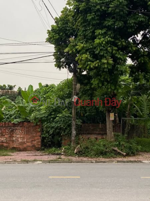 OWN A LOT OF LAND ON NGUYEN VAN LINH STREET - A GOLDEN LOCATION FOR RESIDENCE AND INVESTMENT _0