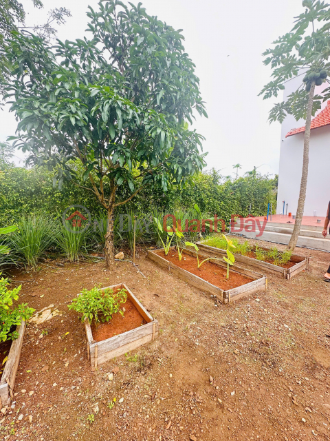 Chỉ Một Lô Duy Nhất - 400M² Mặt Tiền Đường 11M Tại Greenery House Long Tân _0