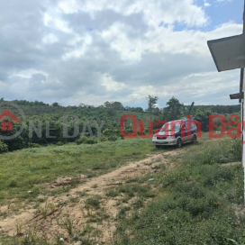 Bán rẫy cà phê 3ha tại Hra - 4.000 cây cà phê, có nhà rẫy, gần cao tốc Quy Nhơn-Pleiku, giá 5,4 tỷ _0