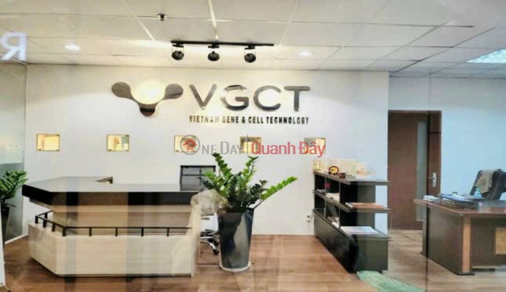(OWNER) PRIME OFFICE/COMMERCIAL SPACES IN HO CHI MINH CITY FOR RENT | Vietnam | Rental | ₫ 167 Million/ month
