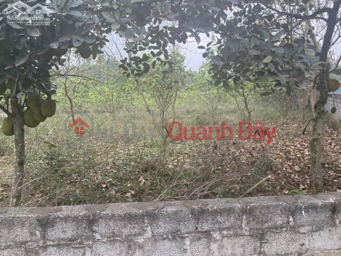 Land for sale in Cao Duong commune, Luong Son district, Hoa Binh _0