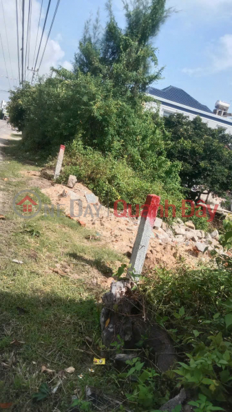 PRIME LAND – GOOD PRICE - OWNER NEEDS TO SELL Land on Thanh Nien Road, Ha Binh Village, Thang Binh District., Vietnam Sales đ 2.5 Billion