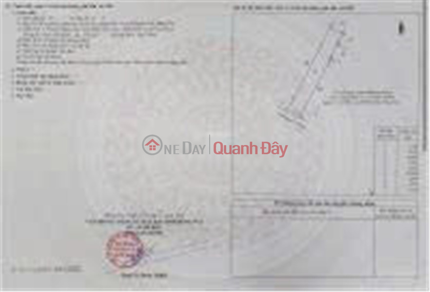 CHÍNH CHỦ Bán Nhà Mặt Phố Nguyễn Tri Phương, Xuân An, Long Khánh, Đồng Nai, 15 tỷ, 288 m2 Niêm yết bán