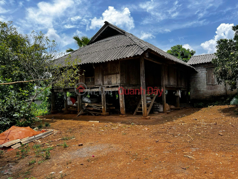 đ 10 Million, INVESTMENT IS PROFITABLE - Land Owned by the Owner in Ao U Hamlet, Nhan My Commune, Tan Lac District, Hoa Binh Province
