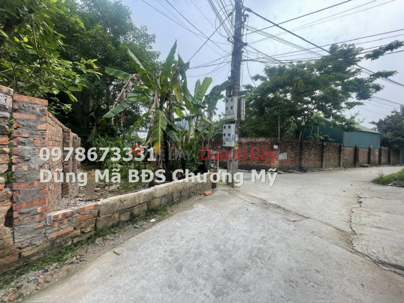 PRICE ONLY 1TY650 TO OWN A LOT OF LAND IN PHU NGHIA TECHNOLOGY PARK-CHUONG MY Sales Listings