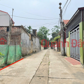 Selling 100m2 of land in Hoang Kim, Me Linh, Hanoi. Clear road, car access, frontage for business _0