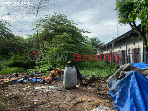 Bán đất chính chủ đường DX098 phường Hiệp An, Thủ Dầu Một, Bình Dương _0