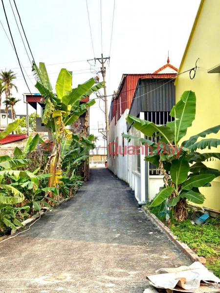 UNIQUE PLOT IN TRUNG NGHIA, DO SON – RARE F0 PRICE 6XX MILLION VND – HIGH LIQUIDITY ZALO 0567 222 555 Sales Listings