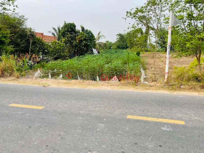The family moved back to their hometown so they needed to sell the plot of land in Chon Thanh town | Vietnam | Sales | đ 295 Million