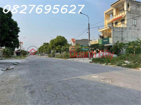 The owner urgently needs to sell the rare earth lot with Hoang Mai, Dong Thai, An Duong, Hai Phong streets _0