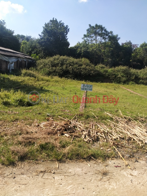 OWNER LAND - SELLING TO CUT LOSSES 2 ADJUSTABLE LOTS In Huong Dao commune, Tam Duong district, Vinh Phuc _0