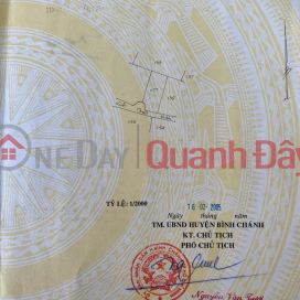 Quickly Own An Ideal Plot Of Land Near Binh Dien Wholesale Market in Hamlet 3, Tan Quy Tay, Binh Chanh, HCMC _0