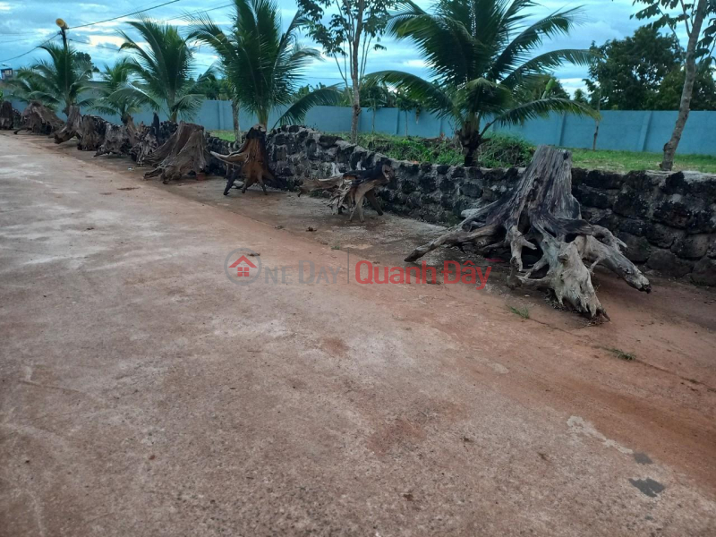 ₫ 3.2 Billion BEAUTIFUL LAND - GOOD PRICE OWNER Needs to Sell Quickly Beautiful Land Lot in eana Commune, Krong Ana Dak Lak
